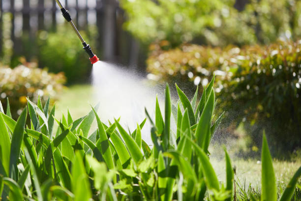 24/7 Emergency Termite Control experts in Cerritos, CA